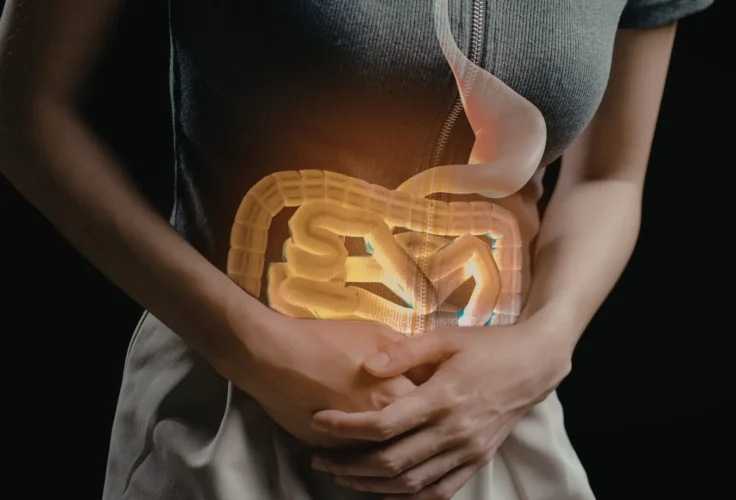 surgical gastroenterology