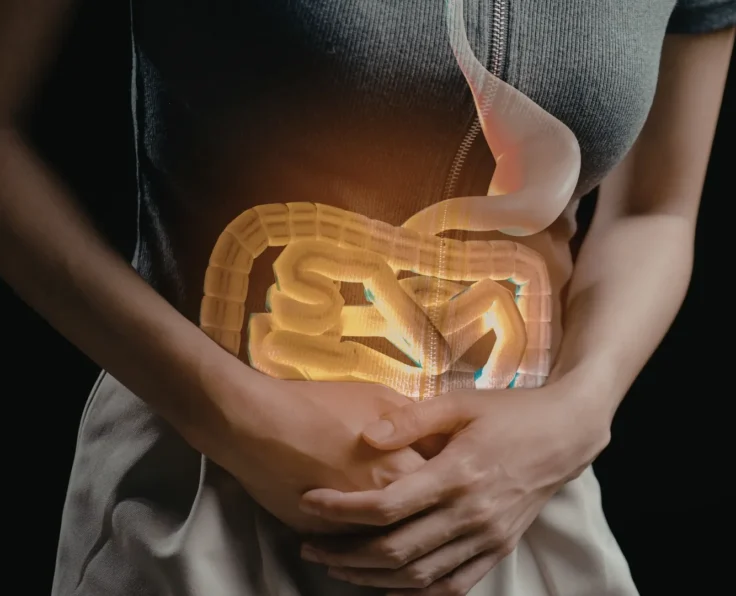 surgical gastroenterology