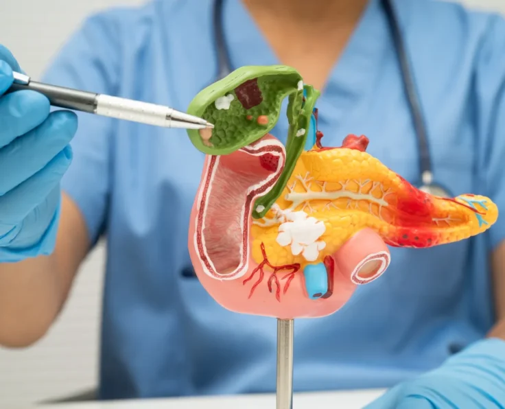 medical gastroenterology