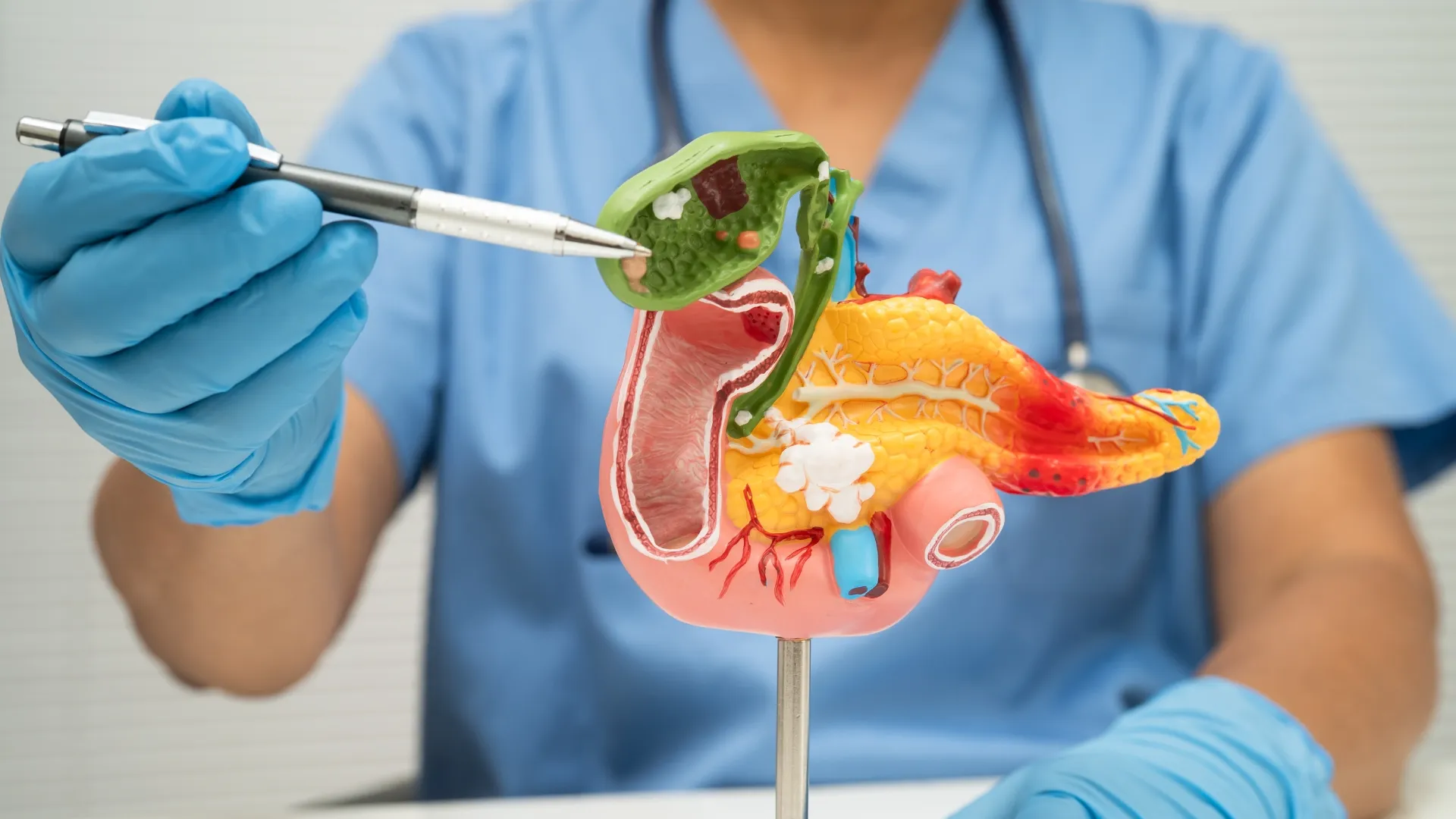 medical gastroenterology